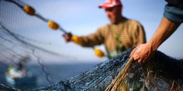 Türkiye'de geçen yıl 207 bin 371 balıkçılık denetimi yapıldı