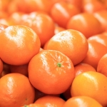 Turunçgil ihracatı 697,7 milyon dolara ulaştı