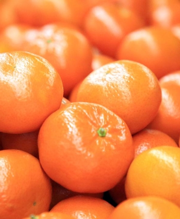 Turunçgil ihracatı 697,7 milyon dolara ulaştı