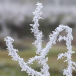 Zirai don ve yağış bekleniyor: 44 il için sarı uyarı