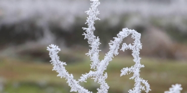 Zirai don ve yağış bekleniyor: 44 il için sarı uyarı