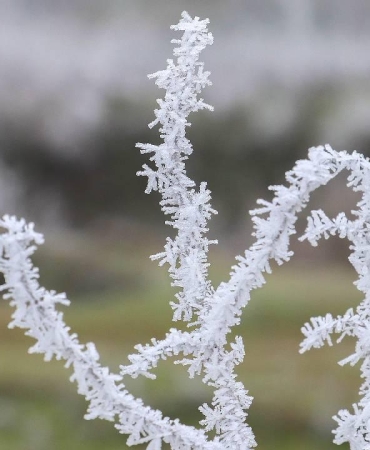 Zirai don ve yağış bekleniyor: 44 il için sarı uyarı