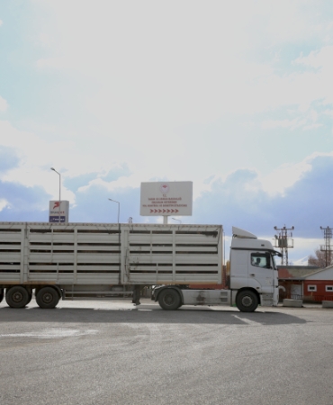 Batı illerine gönderilen kurbanlıklar Erzurum'da sıkı kontrolden geçiriliyor