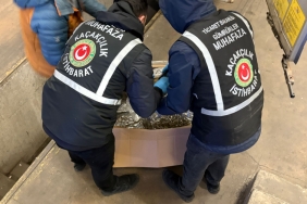 Gümrükler Muhafaza ekipleri son bir haftada 659 kilogram uyuşturucu ele geçirdi