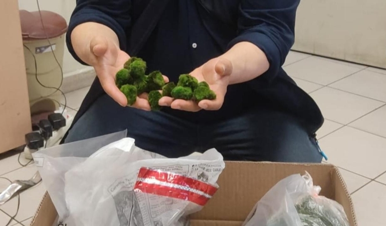 Yolcu otobüsünde 2 bin canlı yeşil alg ele geçirildi